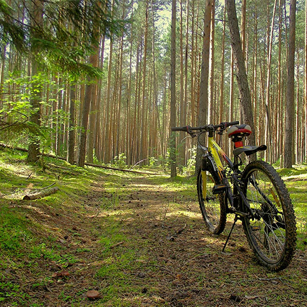 FILTRO-DEPORTE-AL-AIRE-LIBRE